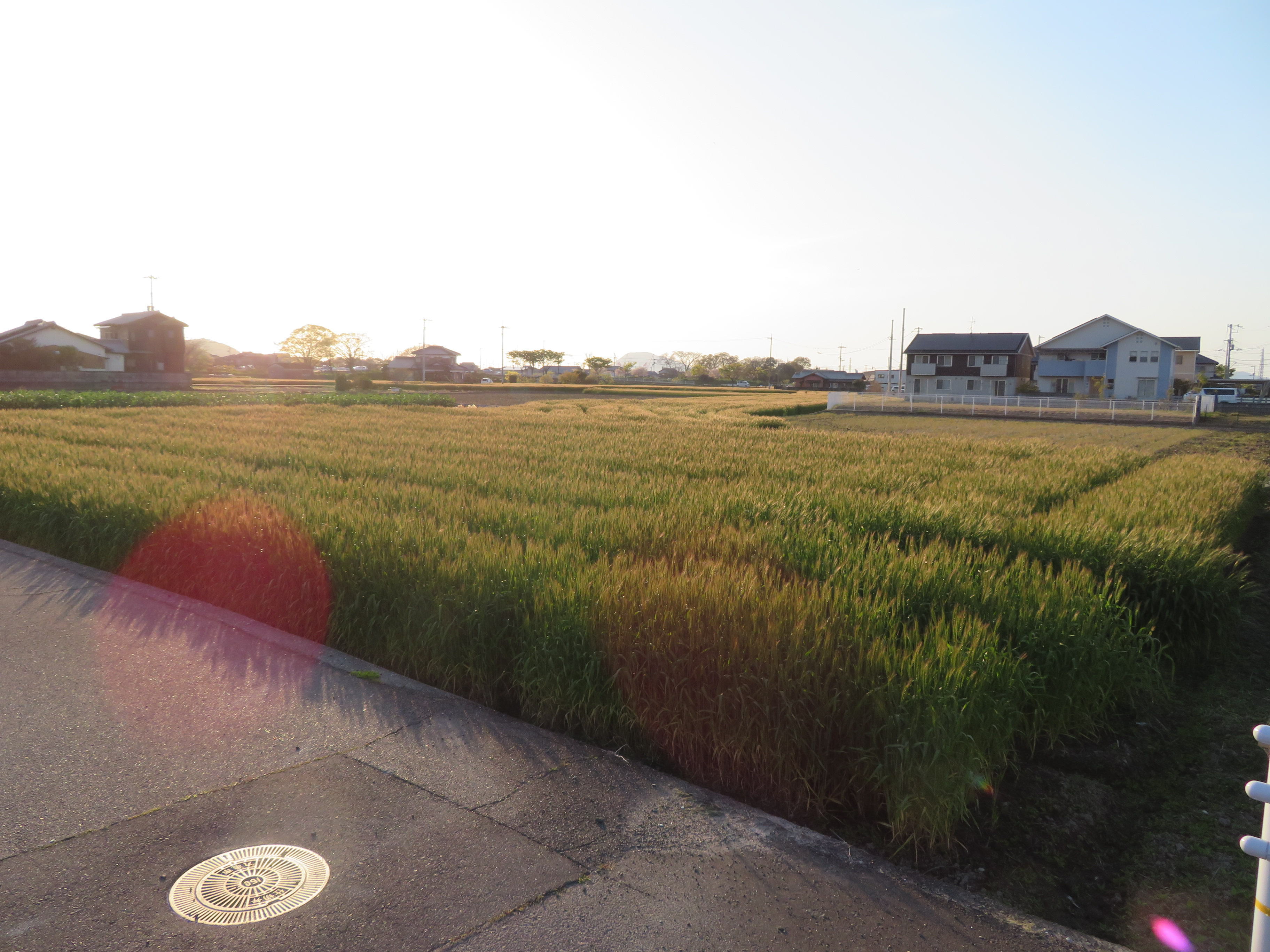 丸亀市金倉町の土地を査定してきました。